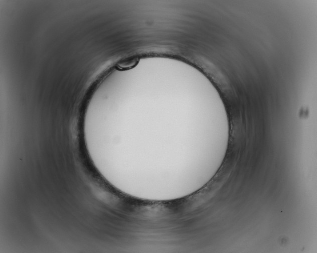 X0000101410112200808041113