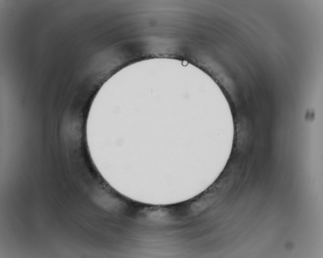 X0000101410113200808041113