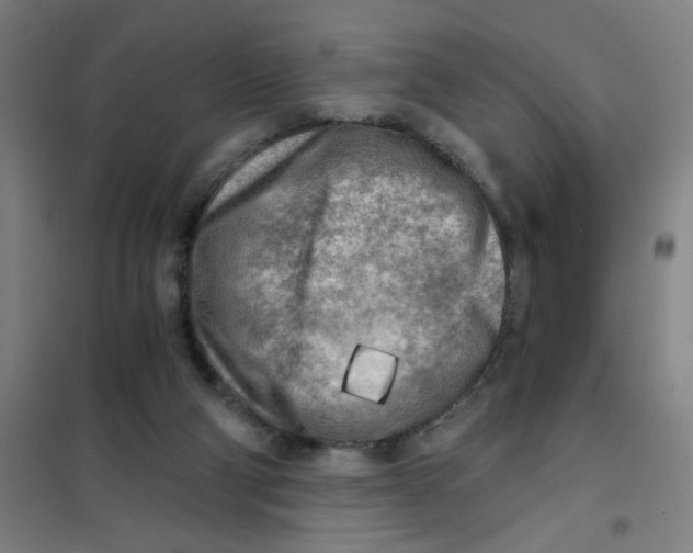 X0000101410114200808041113