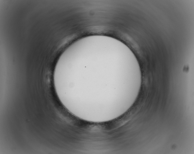 X0000101410115200808041113