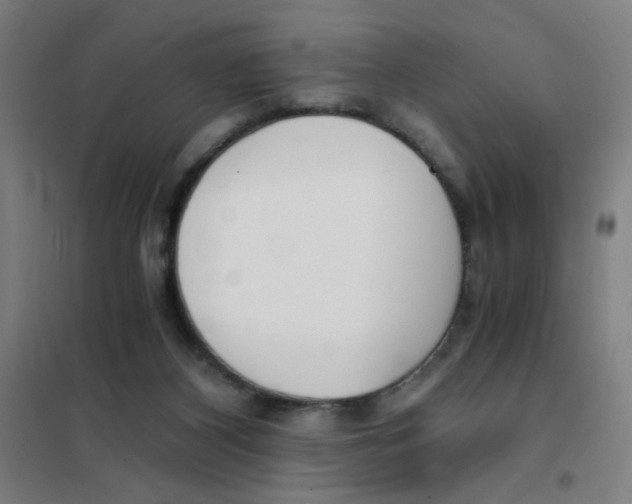 X0000101410116200808041113