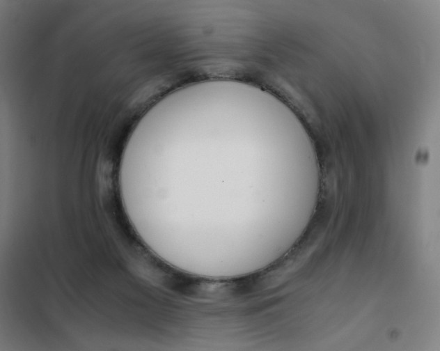 X0000101410117200808041113