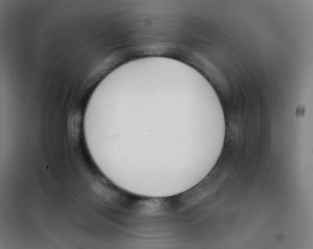 X0000101410118200808041113