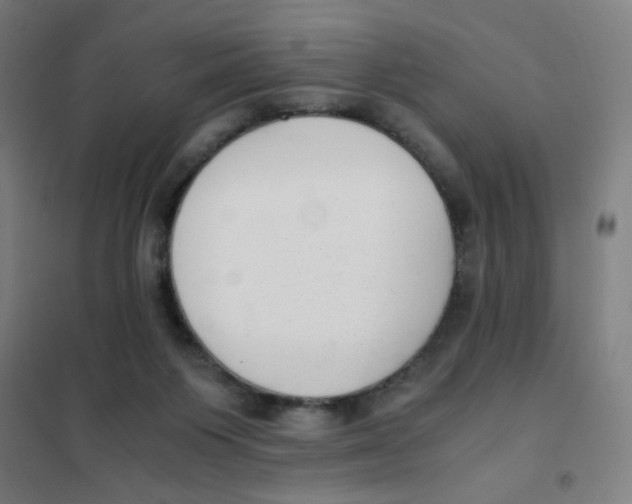 X0000101410119200808041113