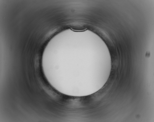 X0000101410120200808041113