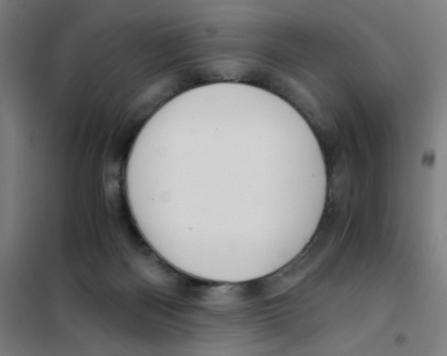 X0000101410122200808041113