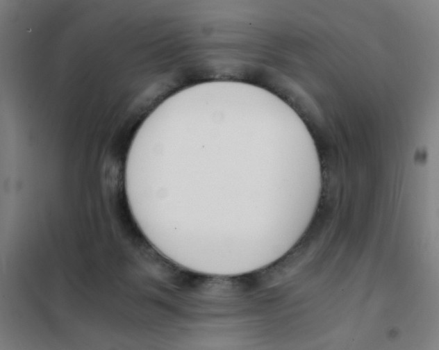 X0000101410123200808041113