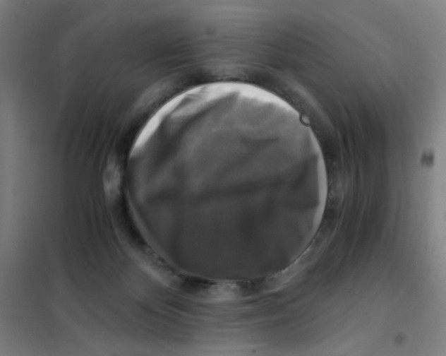 X0000101410124200808041113