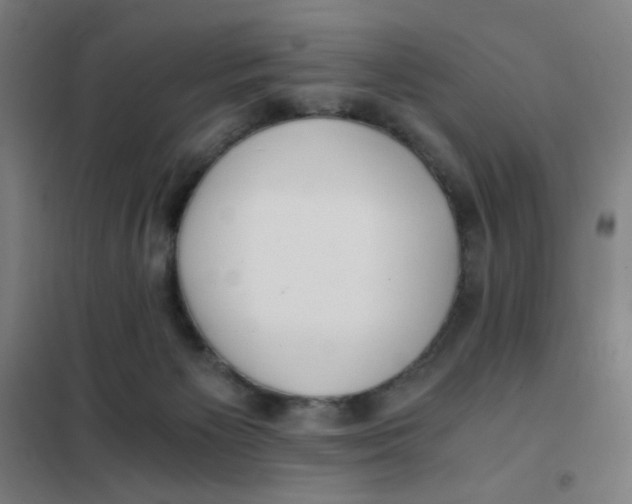 X0000101410125200808041113