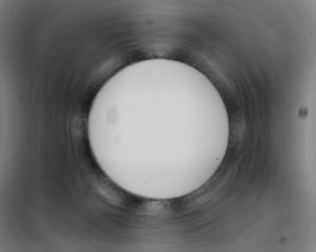 X0000101410126200808041113