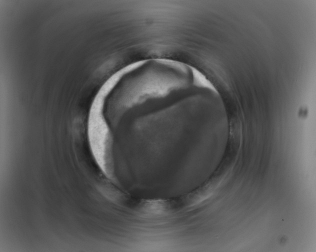 X0000101410127200808041113