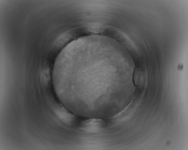 X0000101410128200808041113