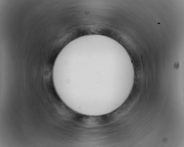 X0000101410129200808041113