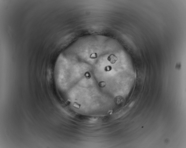 X0000101410130200808041113