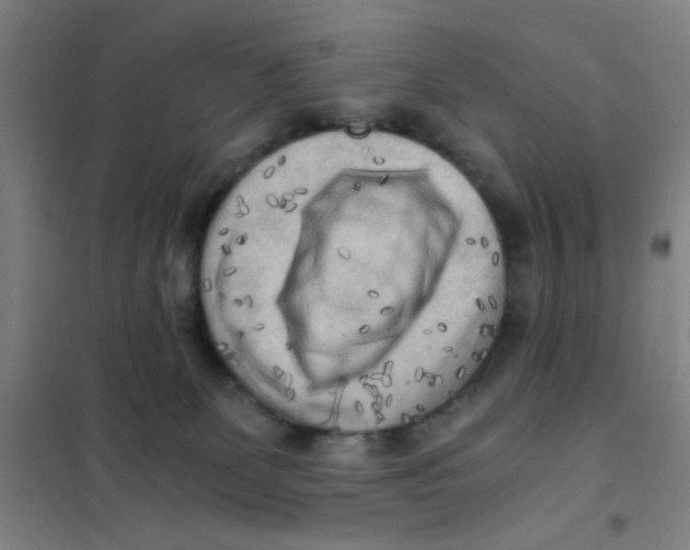 X0000101410131200808041113