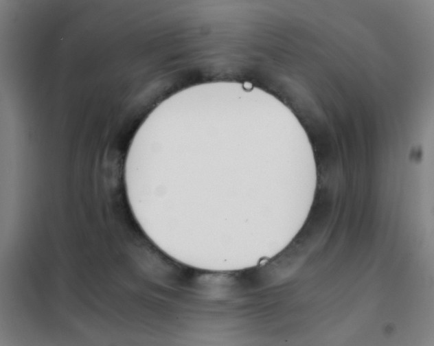 X0000101410133200808041113
