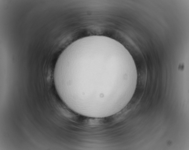 X0000101410134200808041113