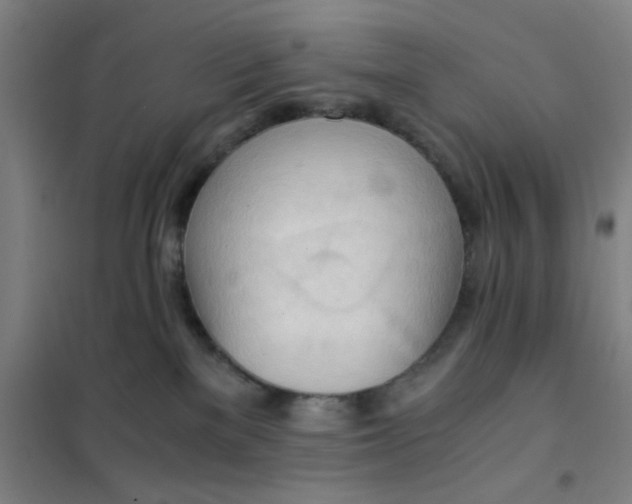 X0000101410137200808041113