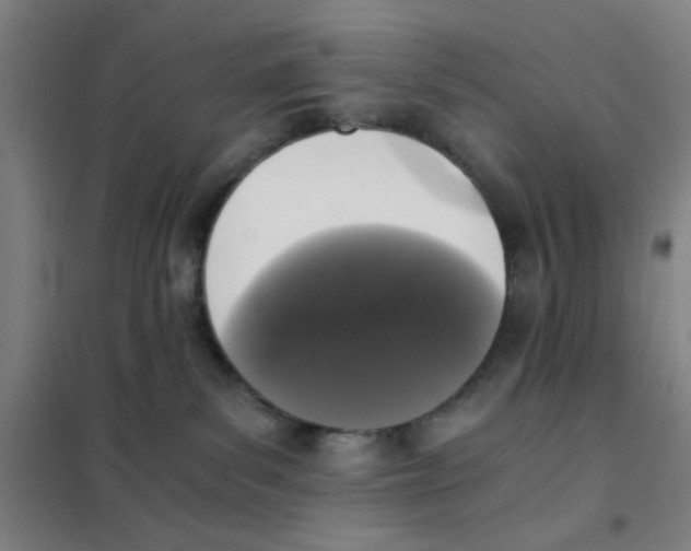 X0000101410139200808041113