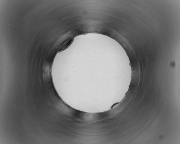 X0000101410142200808041113