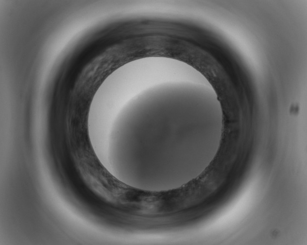 X0000101410143200808041113