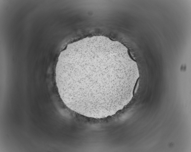 X0000101410144200808041113