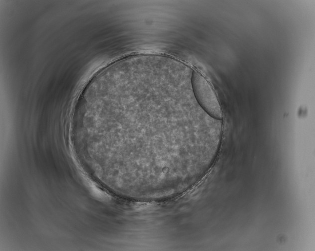 X0000101410145200808041112