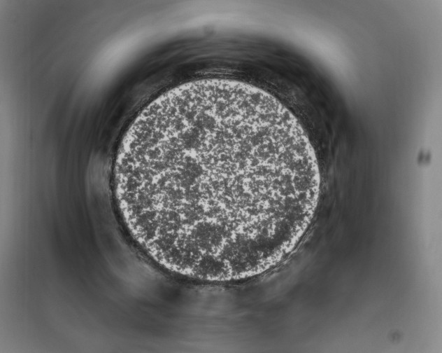 X0000101410146200808041112