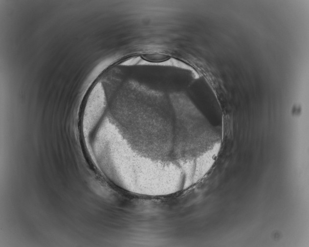 X0000101410147200808041112