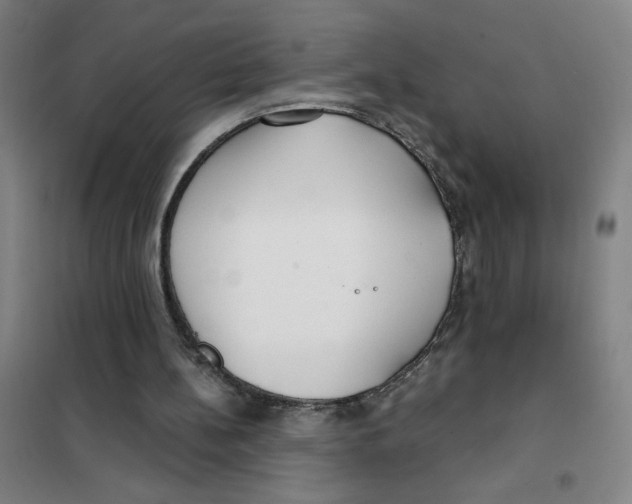 X0000101410148200808041112