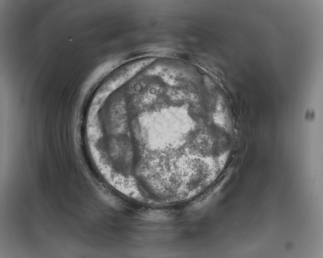 X0000101410149200808041112