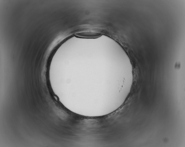 X0000101410150200808041112