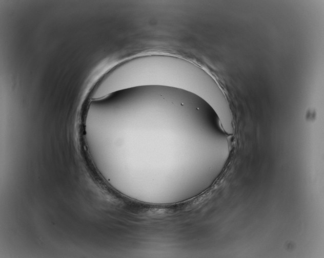 X0000101410152200808041112