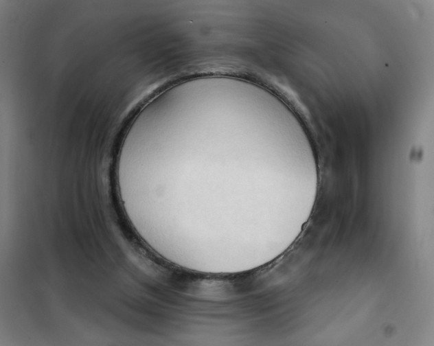 X0000101410154200808041112