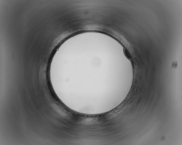 X0000101410155200808041112