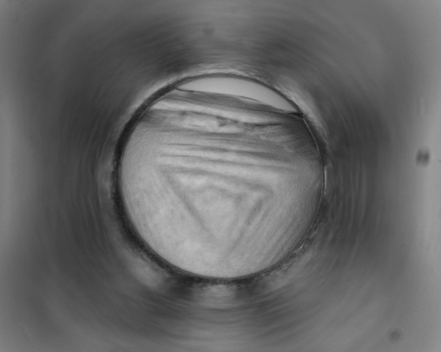 X0000101410156200808041112