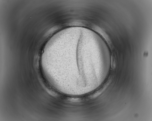 X0000101410157200808041112