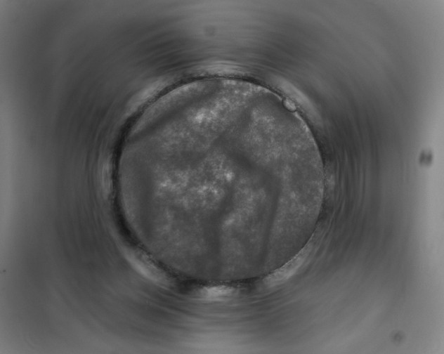 X0000101410158200808041112