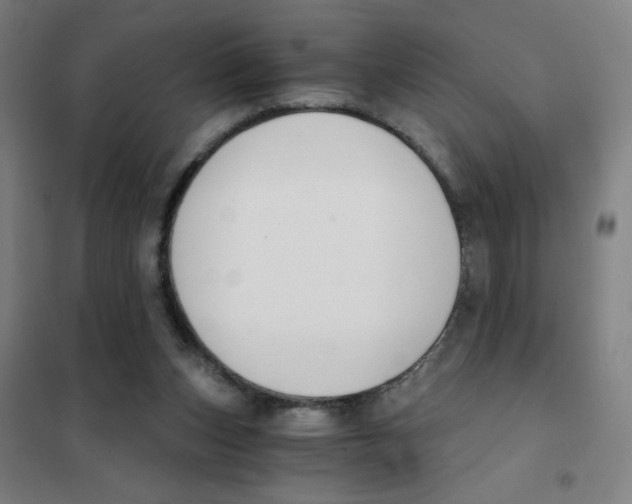 X0000101410159200808041112