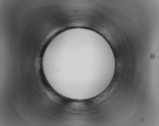 X0000101410160200808041112