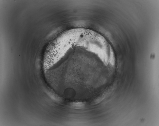 X0000101410161200808041112