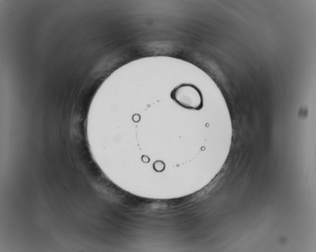 X0000101410162200808041112