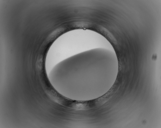 X0000101410163200808041112
