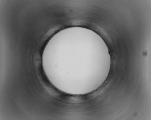 X0000101410164200808041112