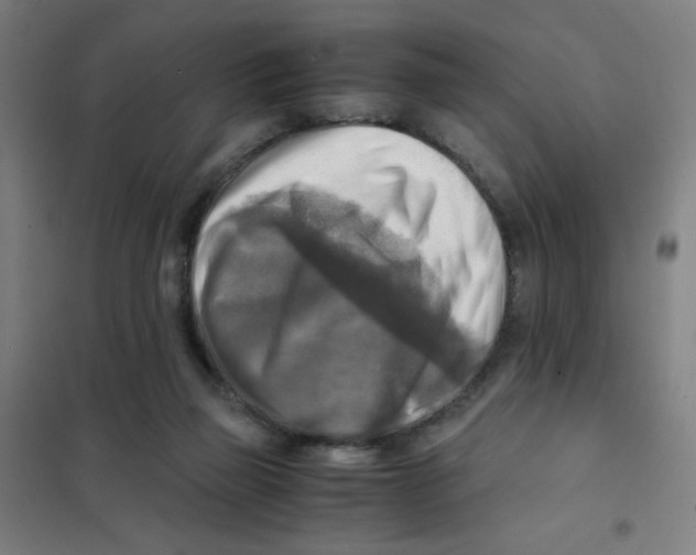 X0000101410165200808041112
