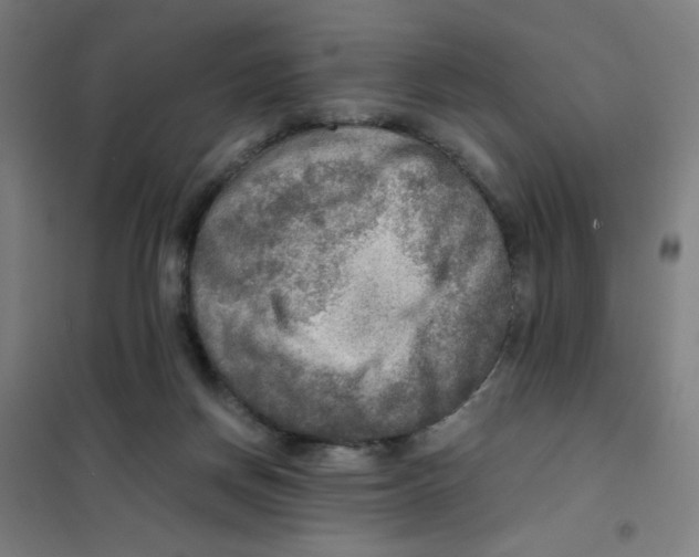 X0000101410166200808041112