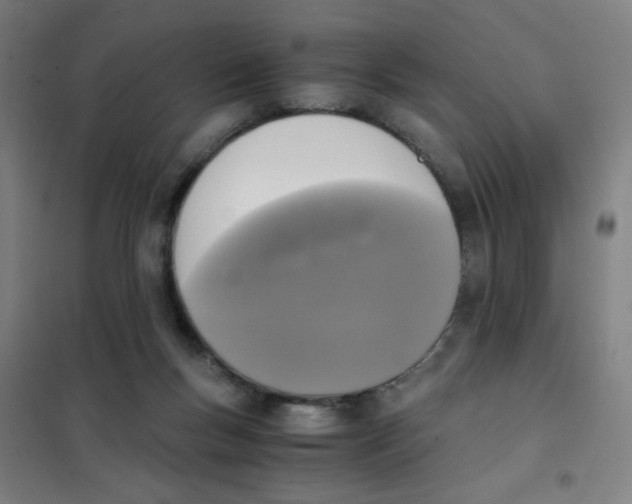 X0000101410167200808041112