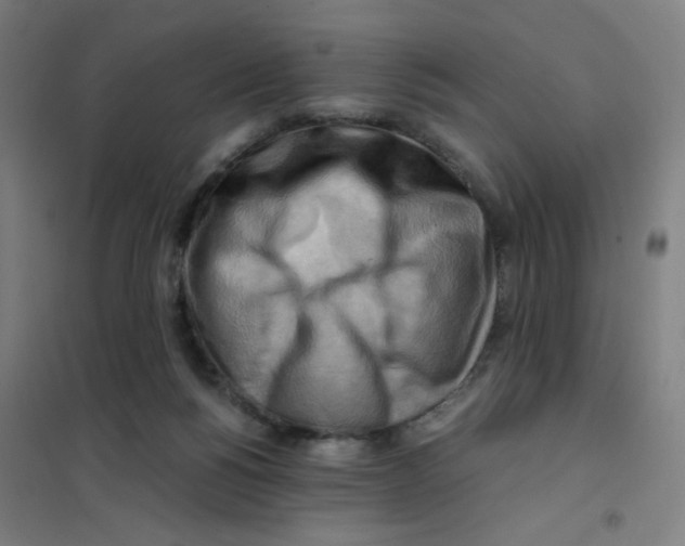 X0000101410168200808041112
