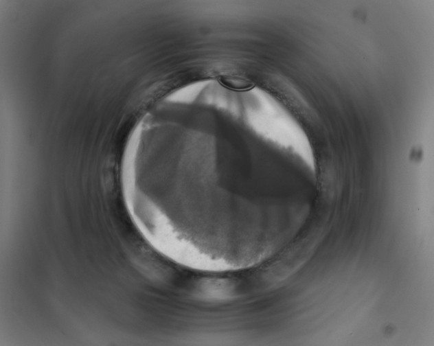 X0000101410169200808041112