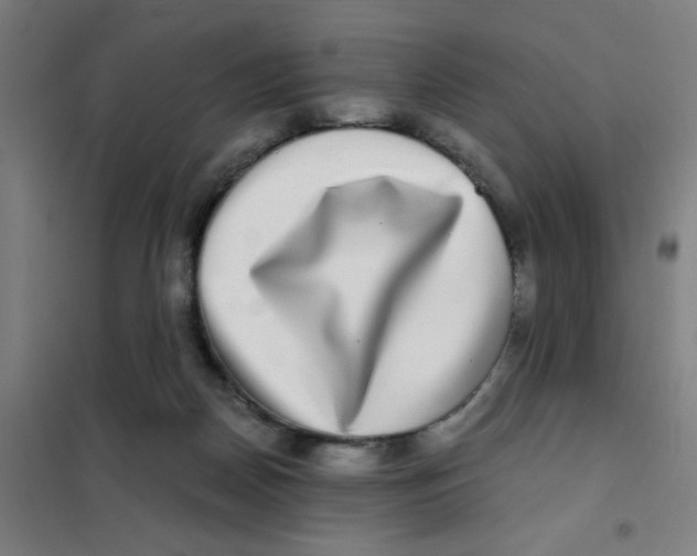 X0000101410170200808041113